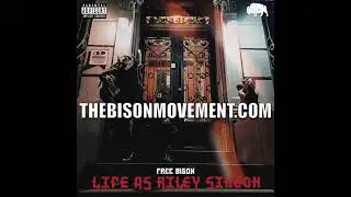 BISON&trade; - FREE - NORMALIZE JOY - Life As Riley Simeon