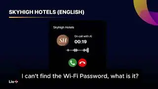 Skyhigh Hotels Demo - LiaPlus AI (English)
