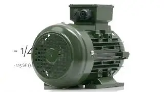 IEC Aluminum Frame Electric Motors | WorldWide Electric Corporation