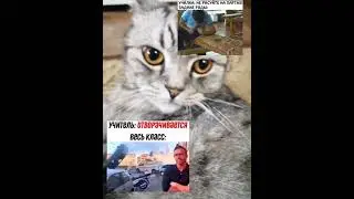 мем 90 #хочуврек #memes #мем