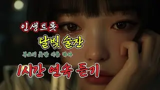 (1시간 연속듣기) 달빛 술잔 - 삼키는 술보다 흘리는 눈물이 더 많은 밤 #트로트 #인생트롯 #연속듣기 #1시간듣기