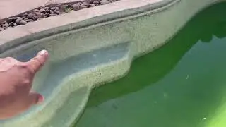 Chlorine Washing Pool
