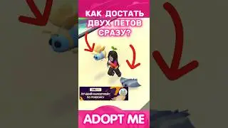 😻How To EQUIP TWO PETS in Adopt Me Update!🐶