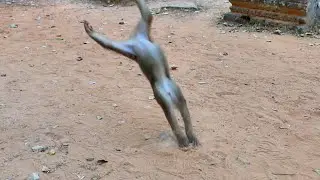 Happy time of Orphaned Monkey and just Abandoned in i wild with Human  !