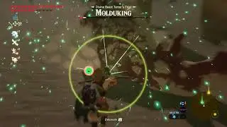 Molduking speedkill