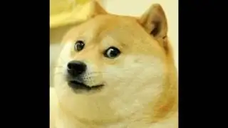 Random 420 Doge