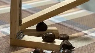 Incidi castagne artigianale