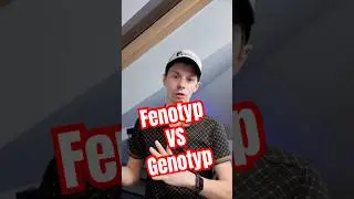 Fenotyp VS Genotyp #pythonregius #snake #pytonkr&oacute;lewski #reptiles #ballpython #python #genetics