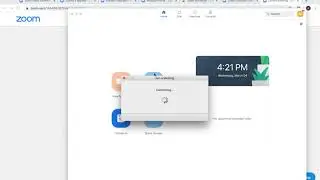 ZOOM CHROME EXTENSION Overview