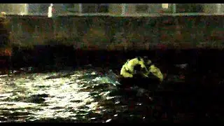Duluth Shipping Canal Dog Rescue Video