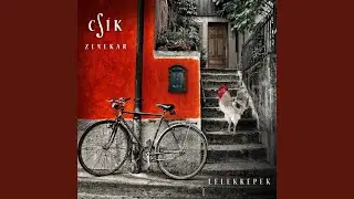 A Széki Hobo: Minek Nékem A Nagy Kőház? / Közép-Európai Hobo Blues