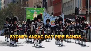Sydney ANZAC Day March 2024 | Pipe Bands ( 2 )