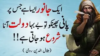 Dolat Mand Hona Hai ~ Is Janwar Par Pani Dala Karo بے تحاشہ دولت 🤑 Urdu/Hindi