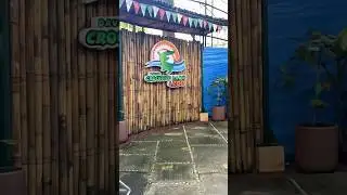 Crococdile Adventure #главныемоменты #путешествия #подписчики