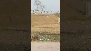 Dooars Tourist Place Lataguri Village Photography #shorts