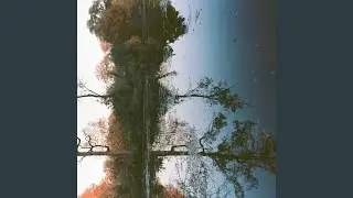 Lennigton (feat. Ari Folman-Cohen, Ran Livneh, Michael Isvara Montgomery & Scott Colberg)