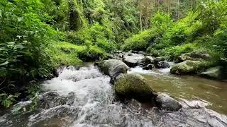 Soothing river sound by soft moving water keeping peaceful deep sleep steady through quiet nights