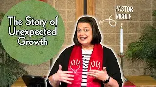 Storyteller: The Story of Unexpected Growth | Willow Hill UMC Online Worship Service, June 29, 2025