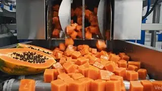 Papaya Juice Processing Step-by-Step Food Processing Inside Food Processing Factory Full Process