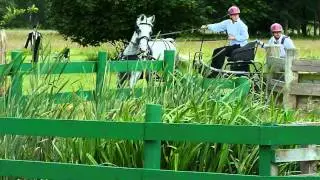 Sandringham EACDG 2012:  Obstacle 1