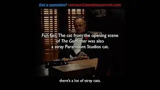 Stray cats on the set of Star Trek TNG