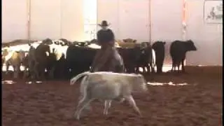 Maling Cutting Horses: Outlaw Quixote 73... Feb 2011 AZCHA
