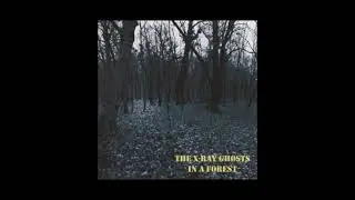 It may end - Best of TXRG