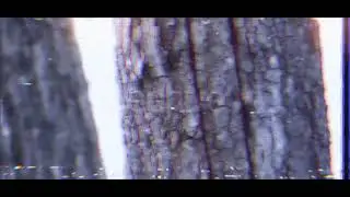 $uicideboy$ - BLOODSWEAT (slowed & reverbed)