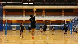 VBCARef39Set14