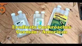 Pest Control and Eradicate Cockroaches