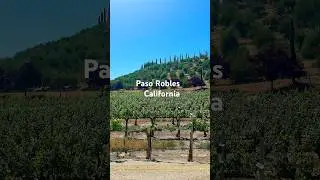 Paso Robles: good wine, golden hills, and small-town magic 🍇#pasorobles #winetasting