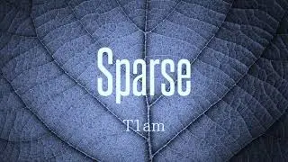 【FREE】Asap Rocky Type Beat - Sparse | FREE Type Beat |Rap Instrumental (Prod. T1am)