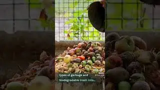 The One Simple Trick to Sorting Your Trash Properly.