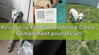 Avis sur la YuMOVE Arthrose Chien - Compl&eacute;ment pour les articulations des chiens seniors - 120 Compr