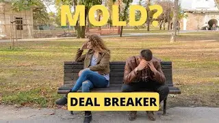 Mold Damage A Dealbreaker for Homebuyers (Best Mold Testing Washington D.C.)
