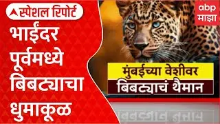 Special Report Leopard Attack Mumbai भाईंदर पूर्वमध्ये 7 तास रंगला बिबट्याच्या रेस्क्यूचा थरार