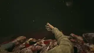 Outlast: INSANE RUN (All Collectibles)