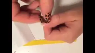Instruktioner f&ouml;r applicering av nailfoils - www.Nailz.se