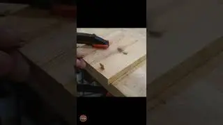 How to make screws disappear in wood, creative DIY and tricks for wood pinterest