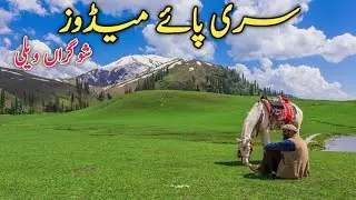 Shogran Siri Paye Meadows | Hidden Paradise Above the Clouds | Neelum valley