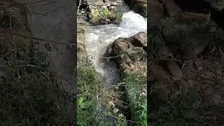 panchaki Mansehra kpk Pakistan