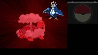 Elite Four and Champion Battle Metronome only - Pokemon White 2 Randomizer