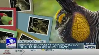 Caldwell Zoo endangered animal to be featured on postage stamps