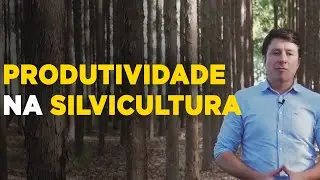 Produção Florestal de Sucesso: Dicas Práticas Para Lucrar Mais!
