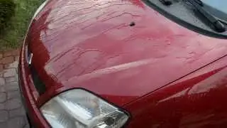 Mainz Car Care Synthetique sheeting