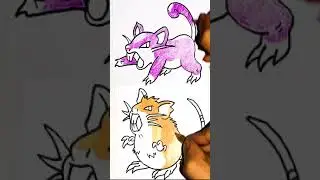 rattata + raticate compilation
