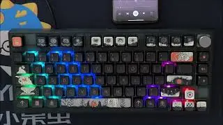 SKYLOONG Keyboard RGB Music Rhythm