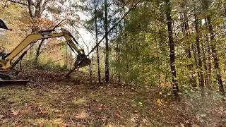 CAT 303 Clearing Trees! Ep 238