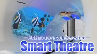 MRI In-bore Video System 