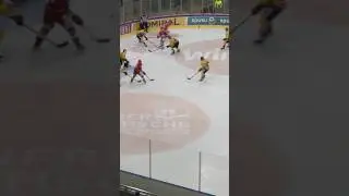 Back to Halmo&rsquo;s goal against Vienna 🔥 #hockey #hcbfoxes #shorts #halmo